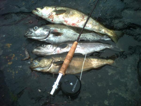 Pollock on the fly